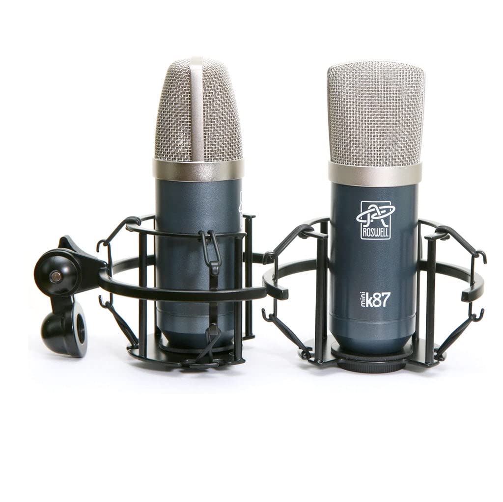 Amazon.com: Roswell Pro Audio Matched Pair Mini K87 Microphones