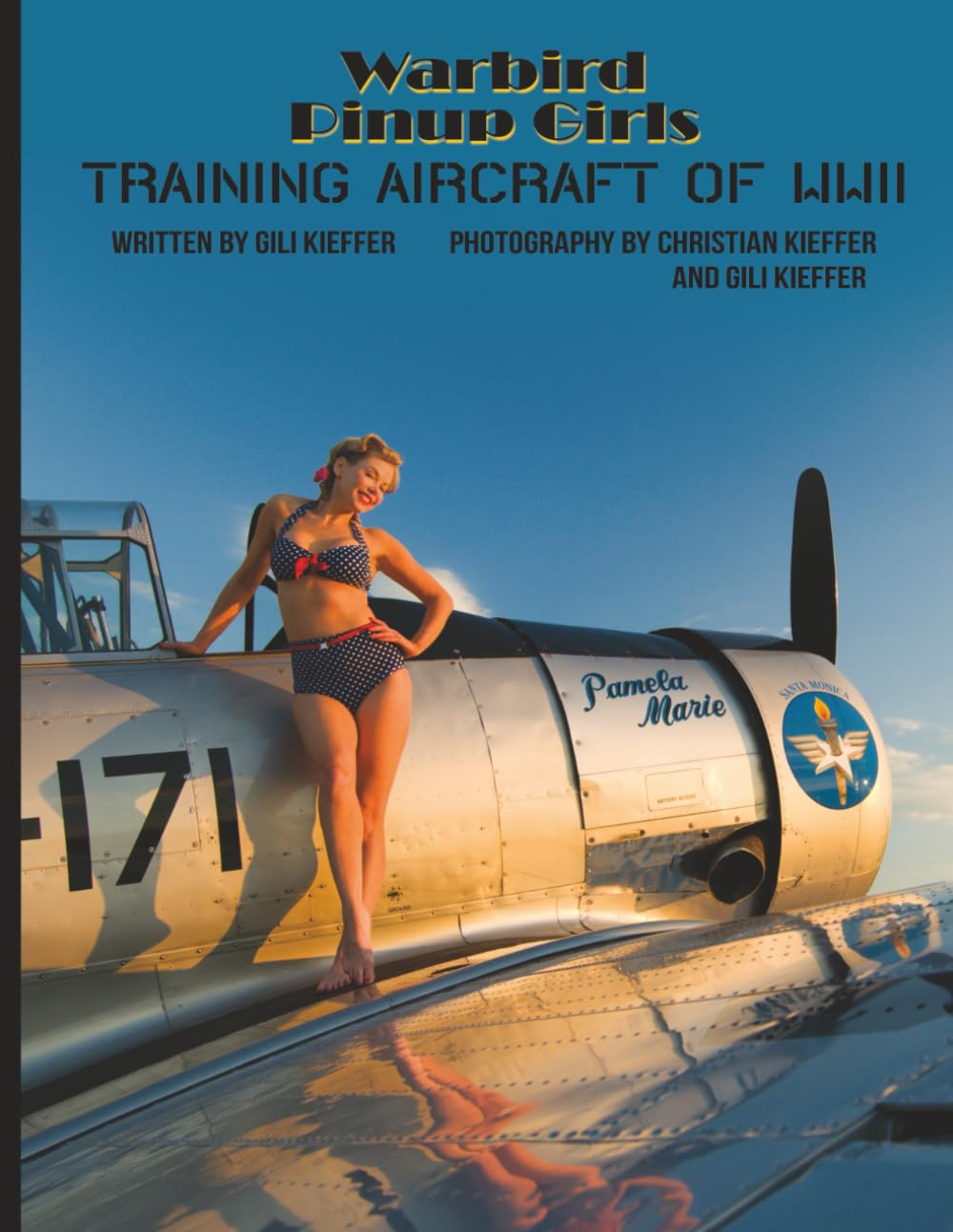 Training Aircraft of WWII: Modern Pin Ups and the History of the Second War Trainers