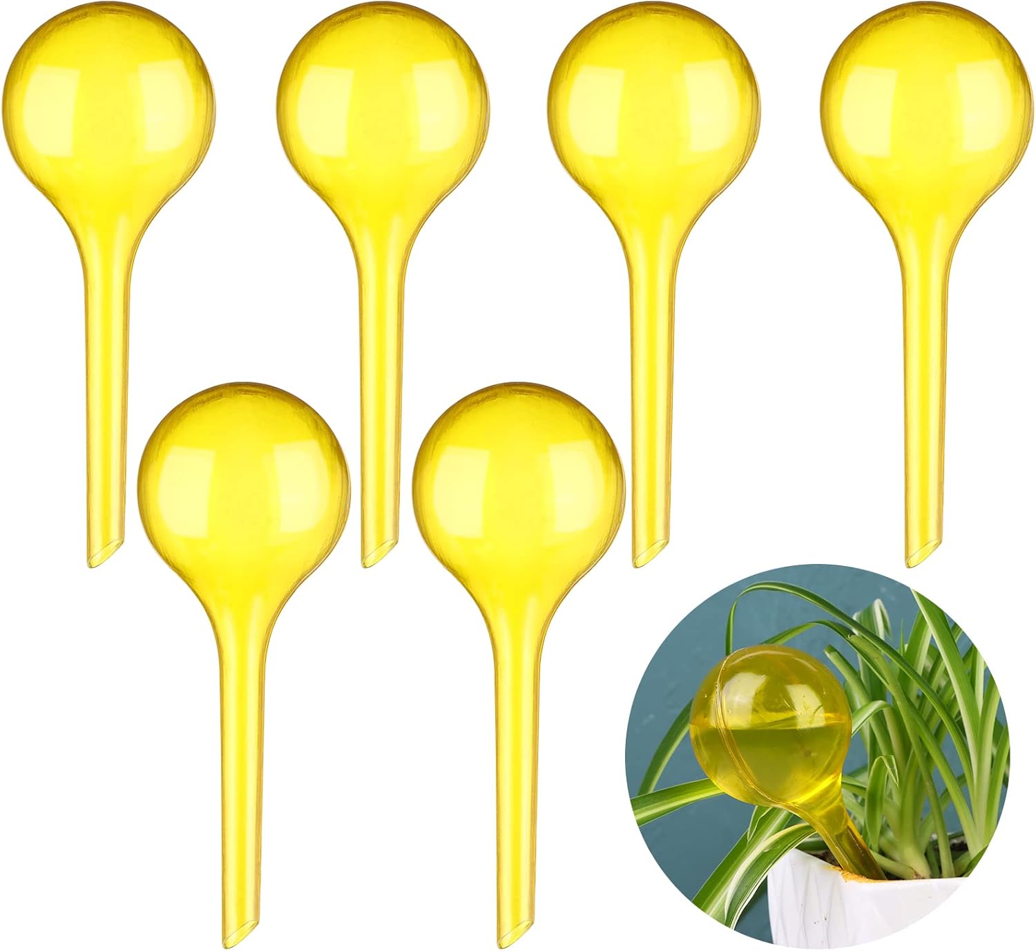 6 Pcs Plant Watering Globes Clear Plant Watering Globes Automatic Plant