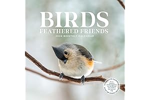 2024 Birds Wall Calendar: Feathered Friends, Bird Migration Map, 2023-2024 Calendar