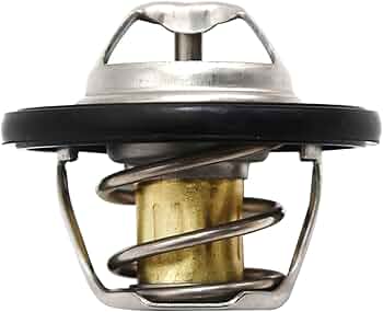 61CbDWs-ohL._AC_UF350,