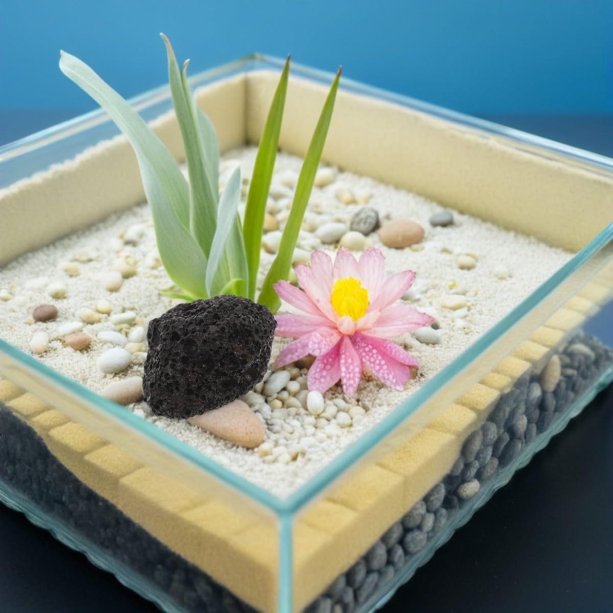Totority Gravier en Pierre Ignée Noire 1kg pour Aquarium d'eau Douce, Stable et Ne Se Dissout Pas, pour Plantes Aquatiques et Bettas