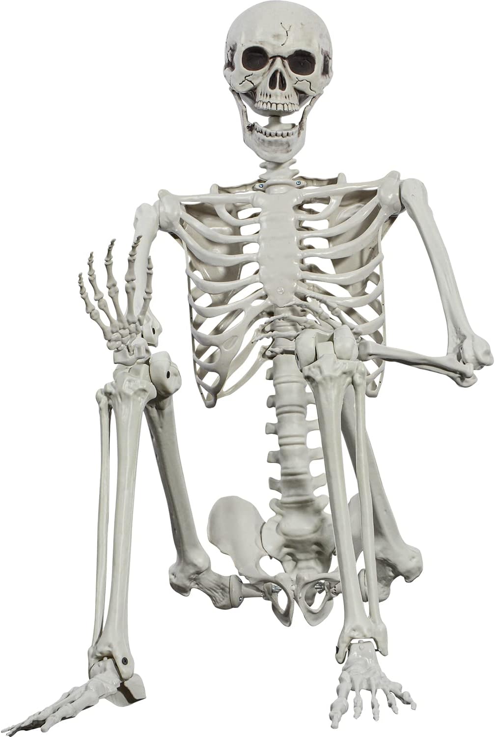 – Halloween Posable Skeleton - 165cm Realistic Life Size Human Skeleton Bones with Movable Joints for Halloween Haunted House Decoration