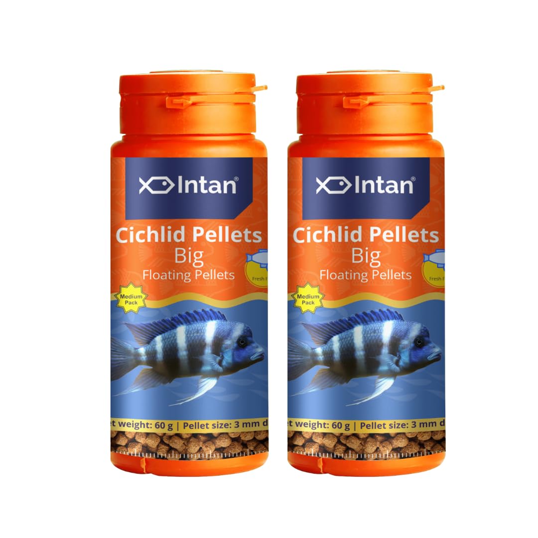 See full amazon price history chart for Aquatic Intan Cichlid Pellets (Big 3mm Floating) | 60gm - Highly Nutritious Ornamental Fish Food for All Varieties of Small & Big Cichlids (Pack of 2) Aquatic Intan Cichlid Pellets (Big 3mm Floating) | 60gm - Highly Nutritious Ornamental Fish Food for All Varieties of Small & Big Cichlids (Pack of 2) (B0D1Y82CY5) Amazon Price History, Amazon Price Tracker