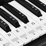 Piano Keyboard Stickers for 37/49/54/61/88 Key Keyboards, Transparent Piano Stickers, Piano Key Labels, Premium Piano Keyboard Stickers