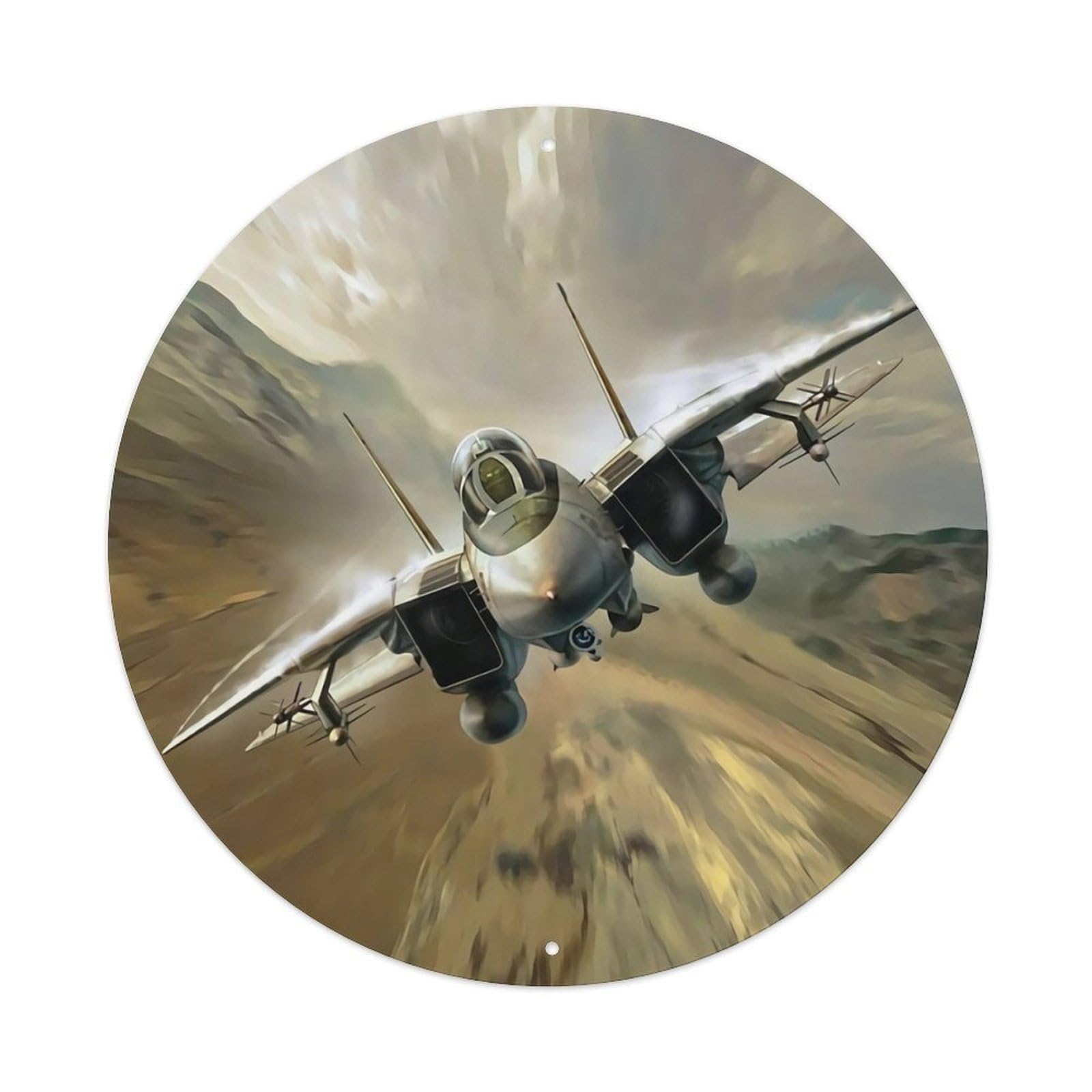F-14 Tomcat Fighter Jet Military Aviation Classic Metal Tin Sign