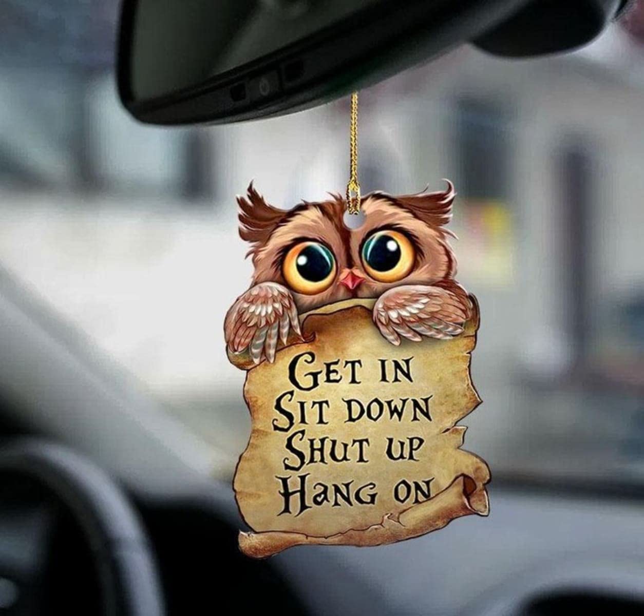 Owl Get in Sit Down Shut Up Hang On Car Rear View Mirror Hanging Ornament, Keychain, Christmas Ornament, Window Ornament, Christmas Tree Decorations, Halloween, New Year, Custom Shape