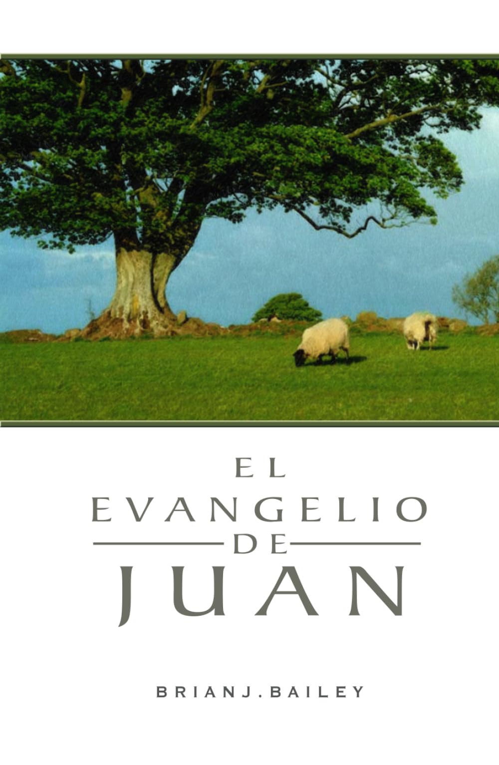El evangelio de Juan