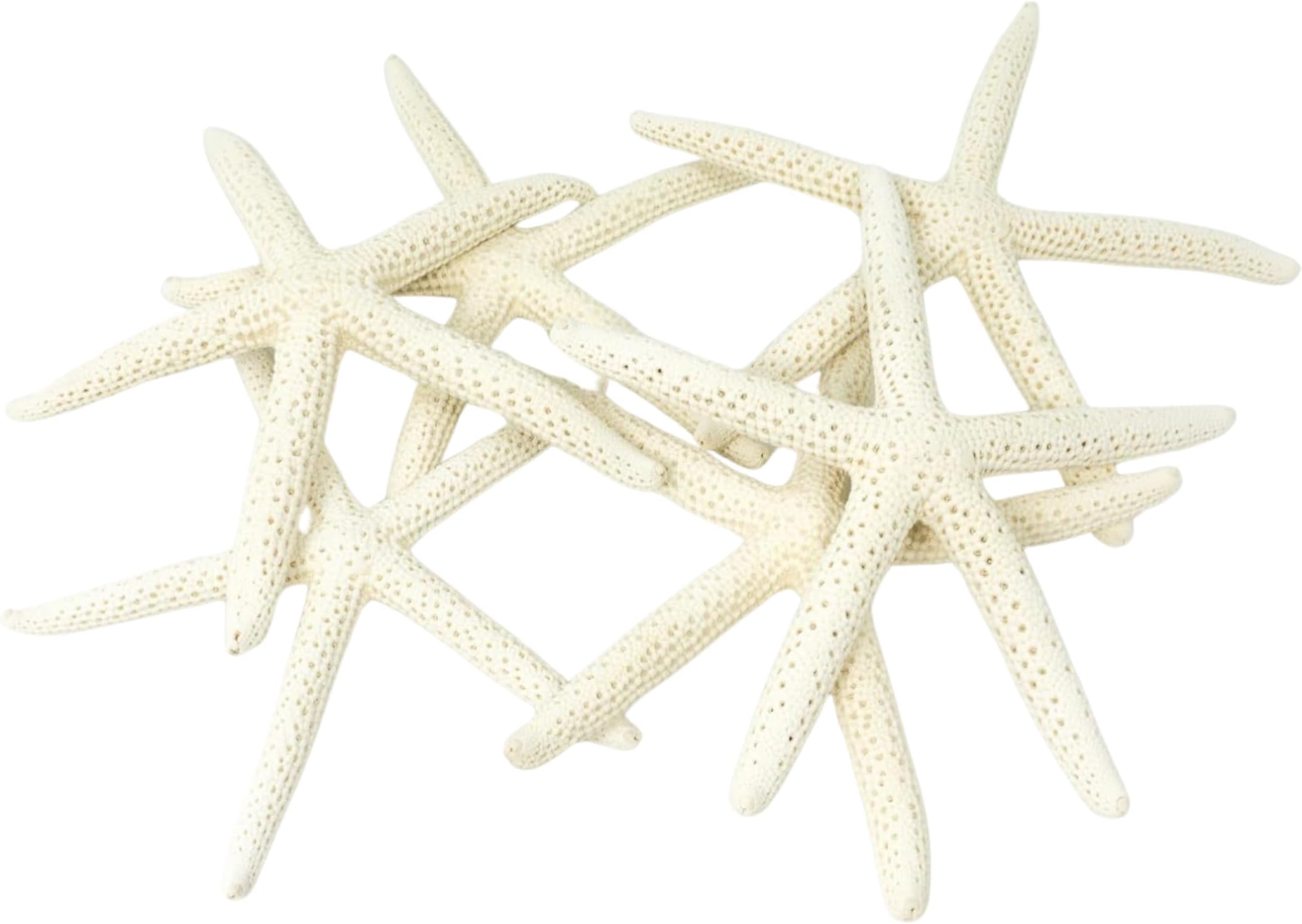 Starfish Decor - Star Fish For Craft - 10pk Real 4-5" White Sea Stars - Beach Wedding Decor - Coastal Party Decorations - Seashell Decor - Shells For Crafts - Nautical Decor - Bulk Shells For Crafts