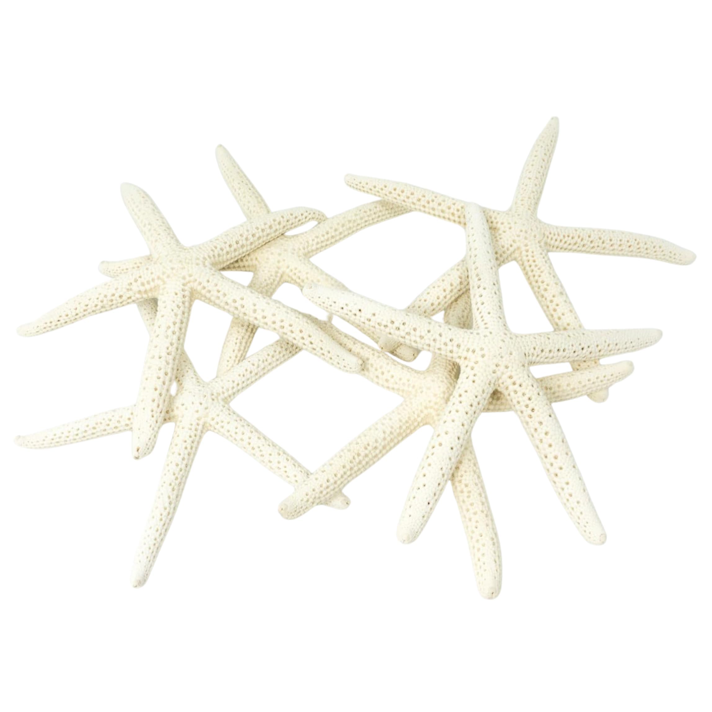 Starfish Decor - Star Fish For Craft - 10pk Real 4-5" White Sea Stars - Beach Wedding Decor - Coastal Party Decorations - Seashell Decor - Shells For Crafts - Nautical Decor - Bulk Shells For Crafts