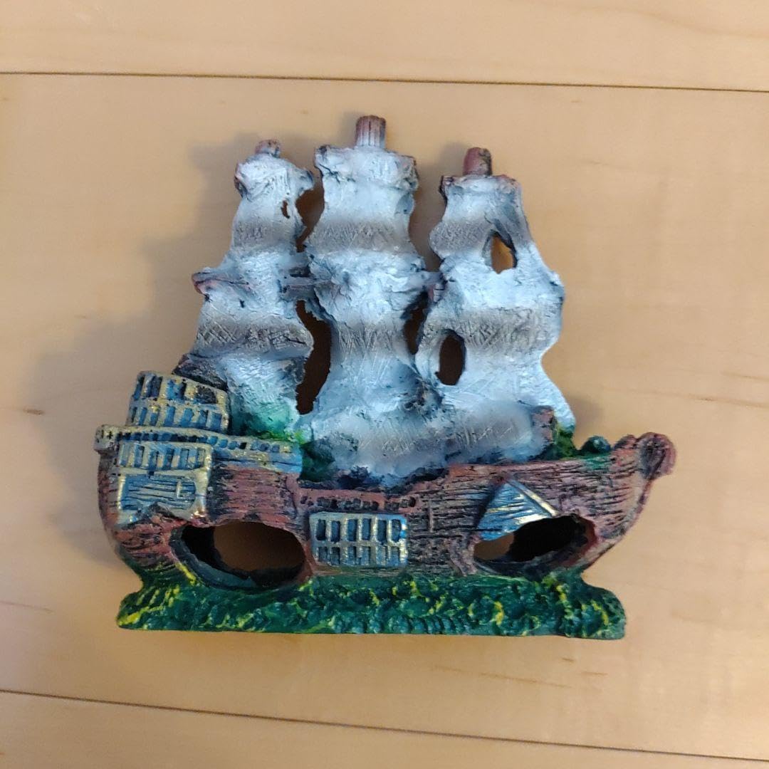 アクアリウムインテリアウミウチワ工作造形天然素材塩抜き海からの贈物