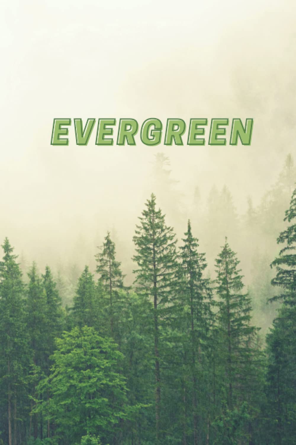 Evergreen: Evergreen Notebook