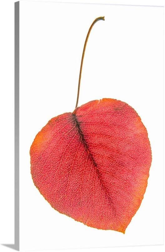 Minimalist Botanical Leaf Art Print in Bold Red and White as Nature Wall Decor for Home or Office