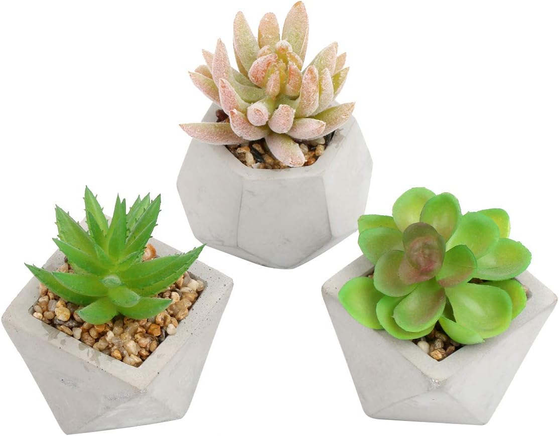 YZCX 3PCS Mini Artificial Succulent Plants Potted Faux Succulent Plants for Table House Balcony Office Decor (Style 2)