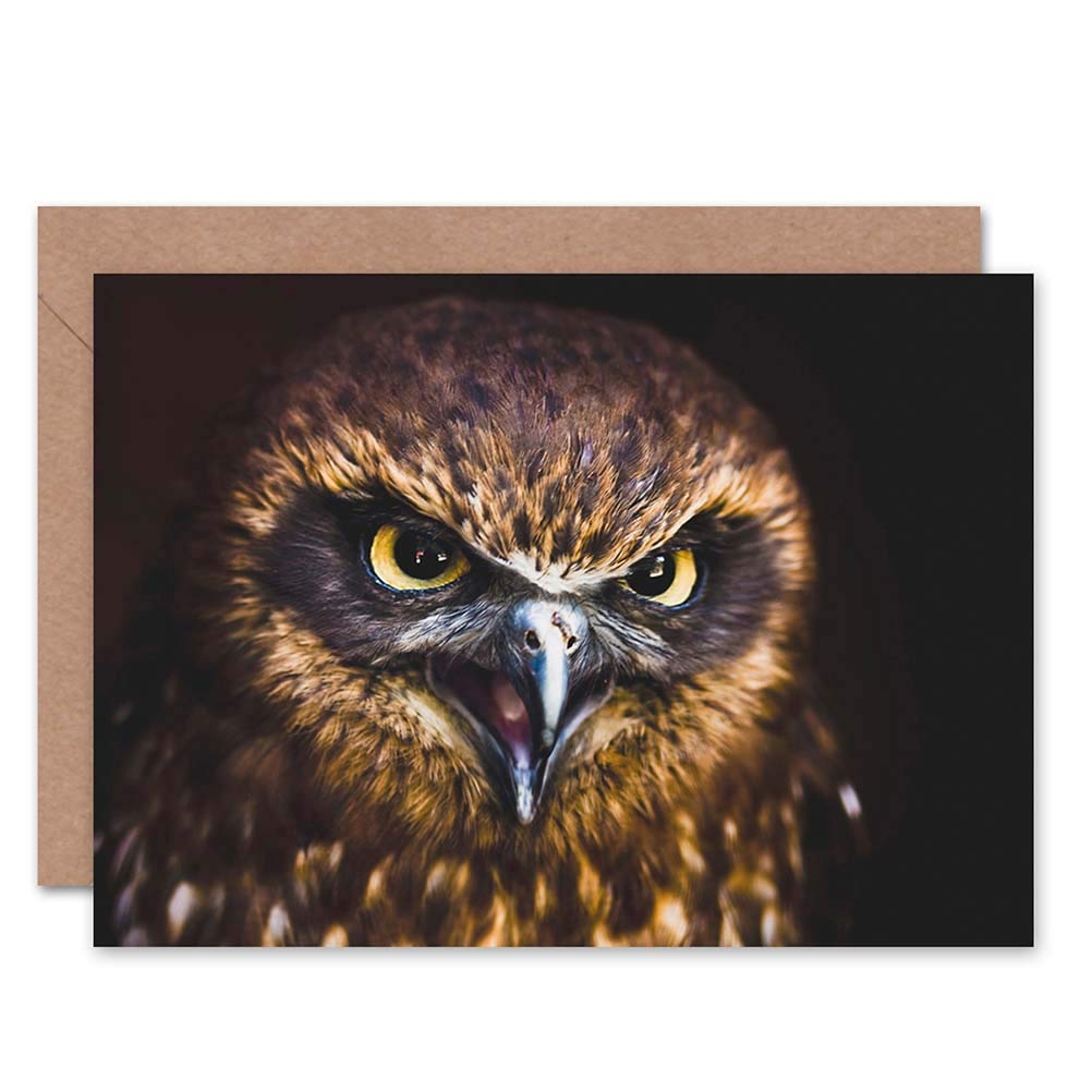 Wee Blue Coo CARD GREETING GIFT PHOTO CLOSE UP BIRD PREY HAWK EAGLE EYES BRIGHT