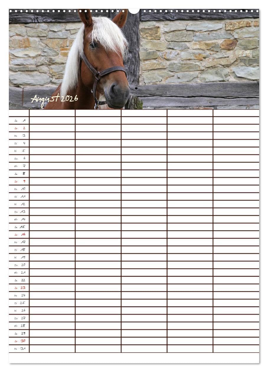 Der Kaltblut-Familienplaner (Wandkalender 2026 DIN A2 hoch), CALVENDO Monatskalender: Der Kaltblutkalender für die ganze Familie (CALVENDO Tiere)