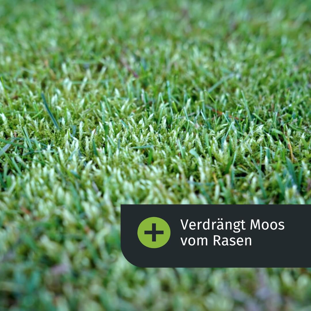 turbogrün® Premium Rasendünger Herbst 10 kg für 280 m² gegen Moos