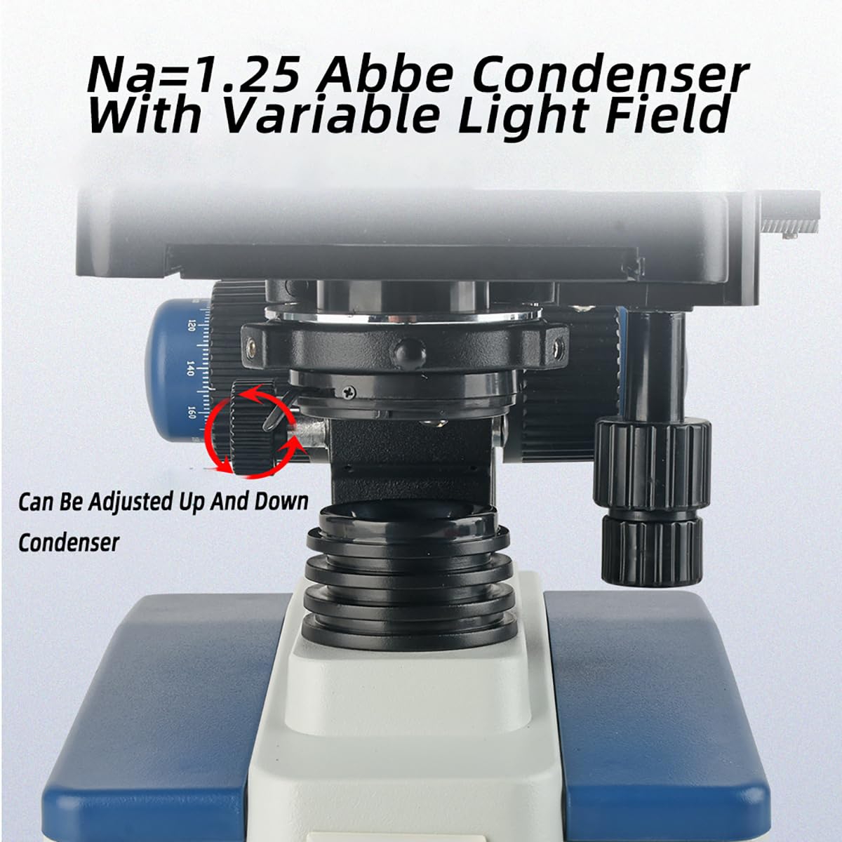 Microscopio biológico Profesional, Equipos y Suministros de Laboratorio, 40X-2500X/4*Objetivo/4*Ocular, con Condensador Abbe, Fuente de luz LED hacia Arriba y hacia Abajo