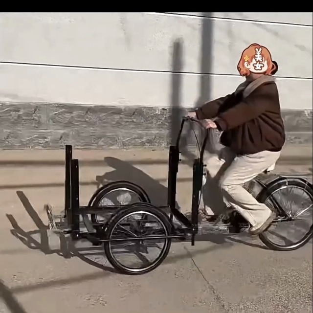 Amazon.co.jp: フロントカーゴブラケット付き3輪自転車ストールカー