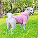 QiCheng&LYS Hundehoodie kleine Hunde Strickpullover wintermantel für kleine Hunde (Rosa/Blau, S)