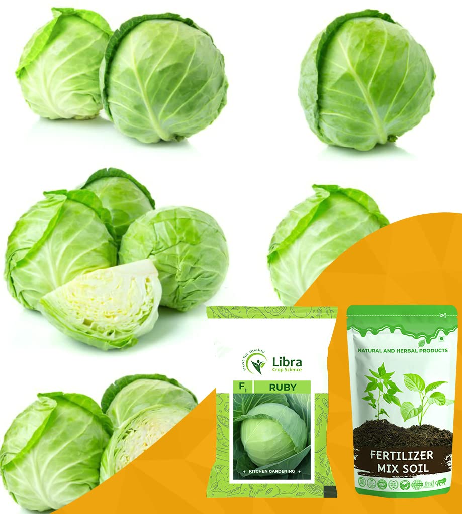 Kobi Seeds Hybrid | Cabbage | Home | Garden | Farming | Vegetable | Kitchen | Planting | Terrace | Balcony | Eating | Leafy Green | Wild Cabbage | Gobi - 0.05 Gram : 115 Seed (B0B2WJ1TMZ) Amazon Price History, Amazon Price Tracker