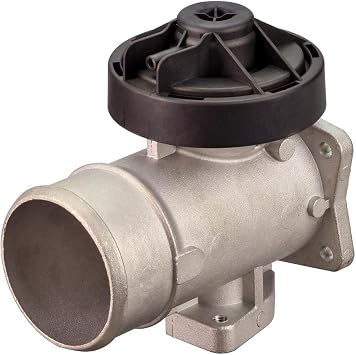 Delphi Technologies EG10634-12B1 EGR Valve
