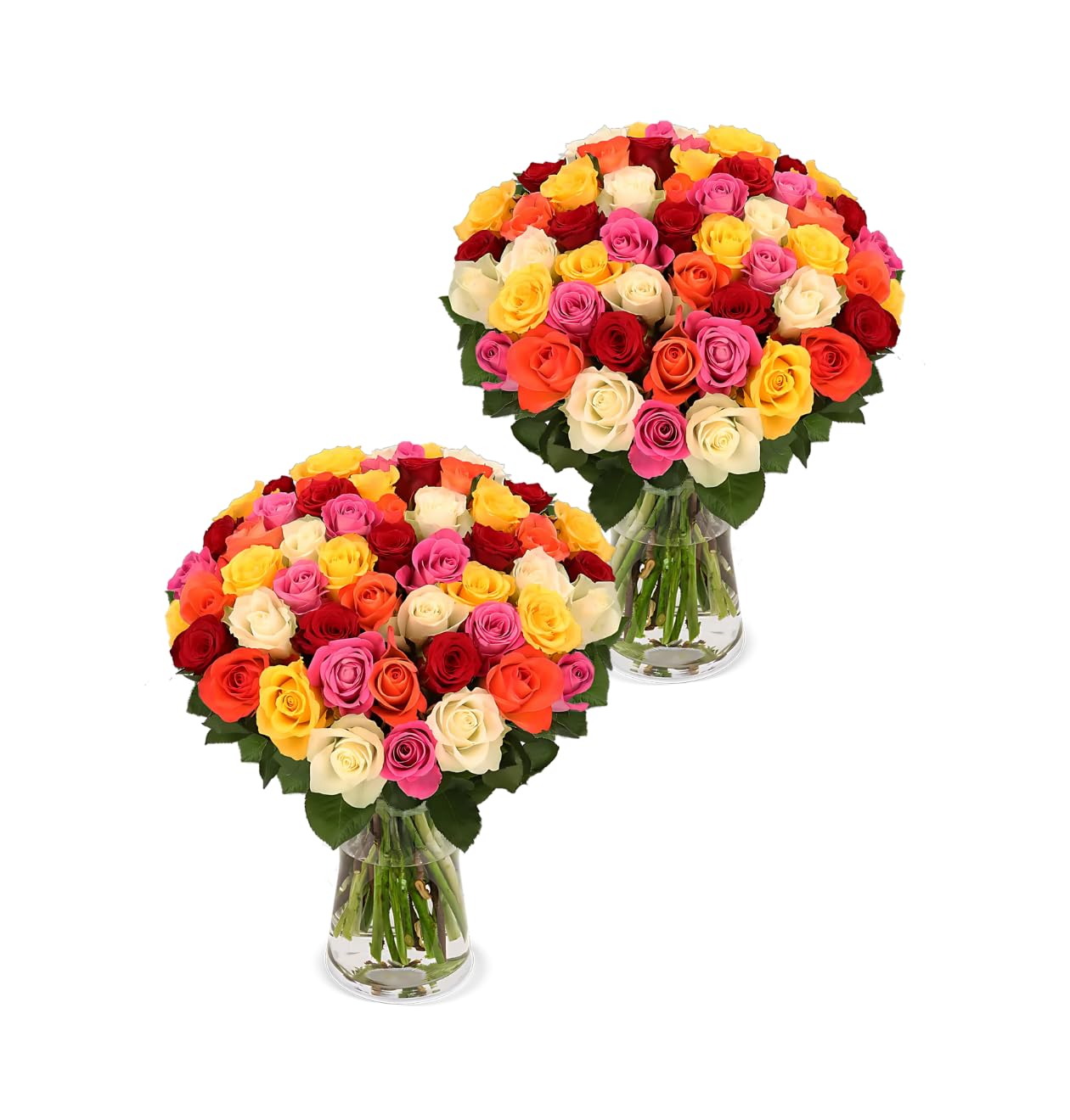 Blume Ideal Rosenstrauß - Rosen in verschiedenen Farben und Mengen - Ø 40–50 cm - Echte premium Blumen für Hochzeit & Deko - 7 Tage Frischegarantie