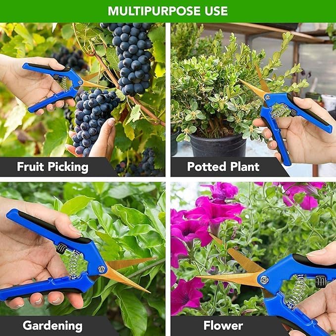 Miniatura 6 de iPower Tijeras de podar mano de jardín de 6.5 pulgadas con tijeras rectas de acero inoxidable, para recortar hidropónico hierbas, flores, verduras y
