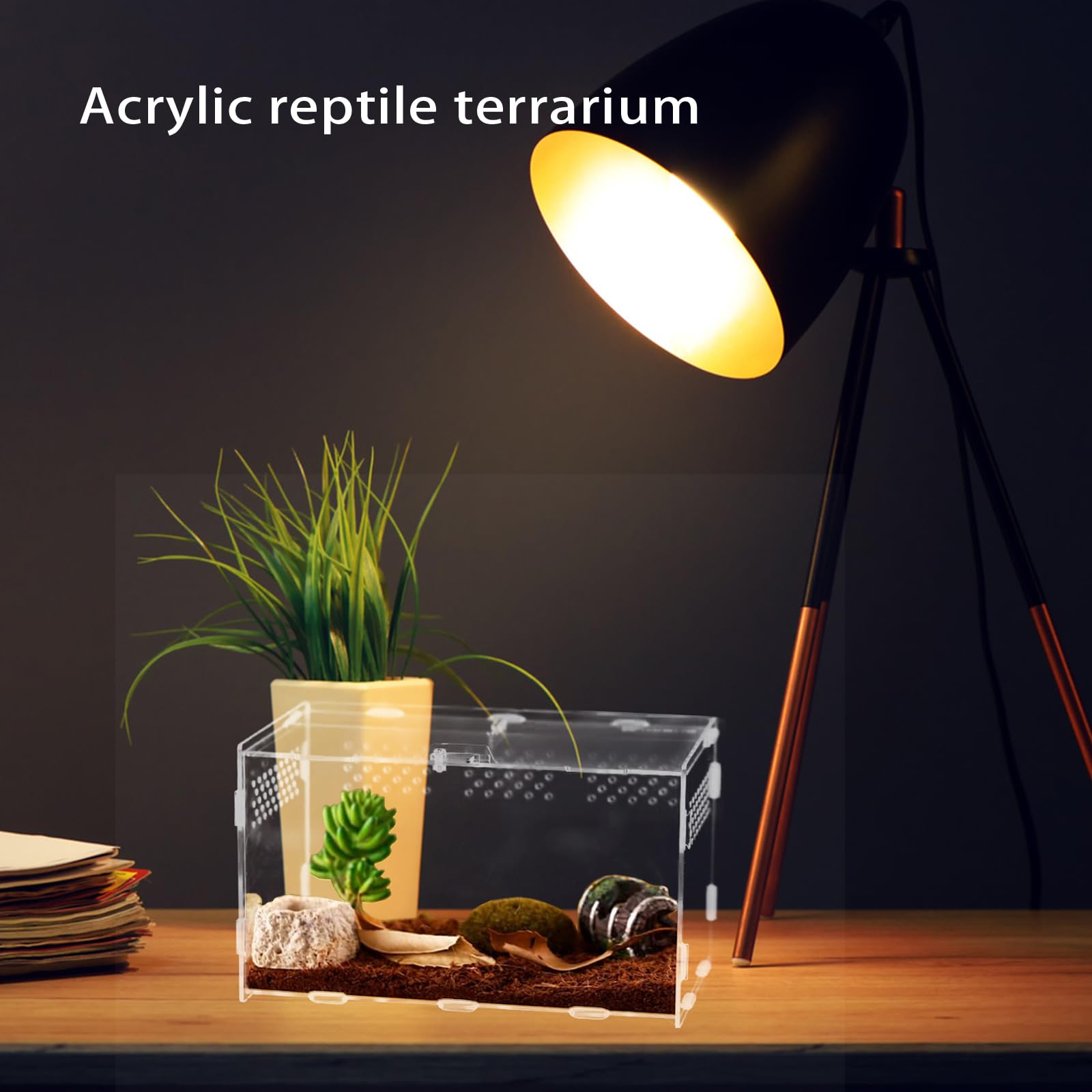 Terrario In Acrilico 20x12x12cm Per Piccoli Rettili - Scatola Allevamento Insetti Con Fori Aria