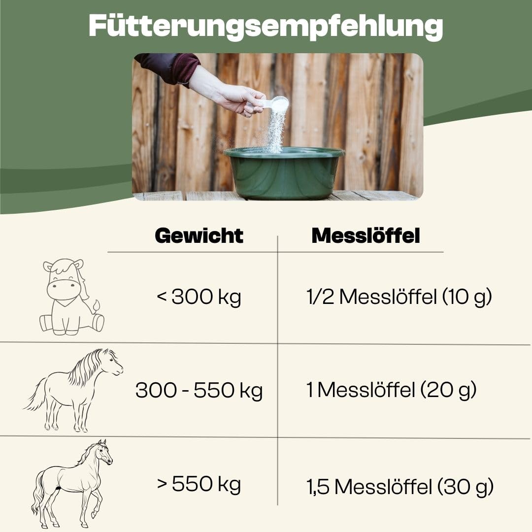Aminosäuren Basismix für Pferde, 100% Reine dopingfreie L-Aminosäuren, 650g Monatspackung