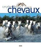  Les plus beaux chevaux