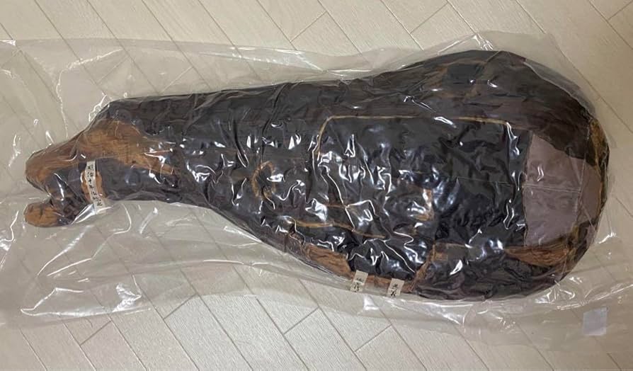 Amazon.co.jp: 正倉院展 蘭奢待 クッション ぬいぐるみ : おもちゃ