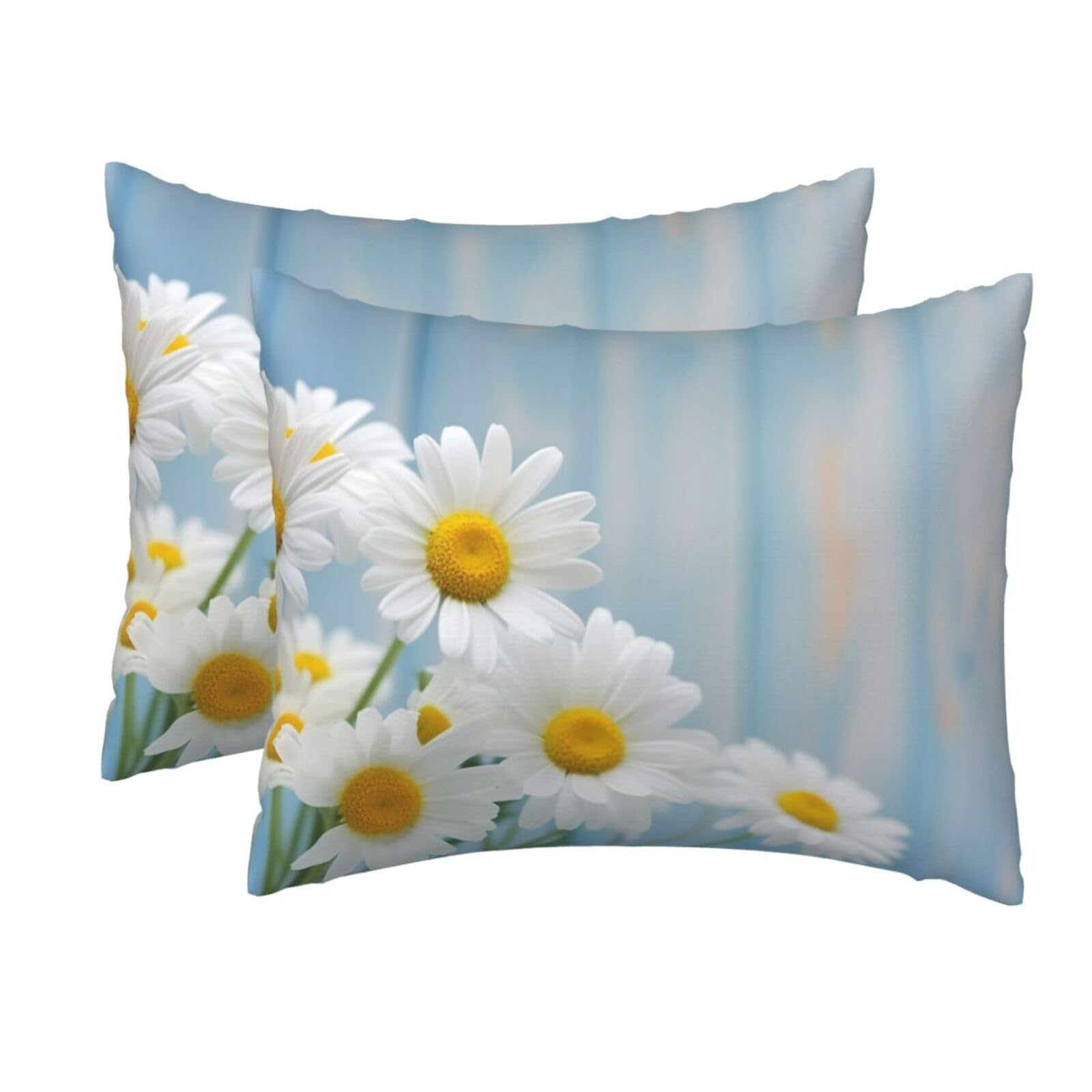 2 Pack Standard Pillow Cases with Hidden Zipper, Soft Breathable Pillow Covers for Hair and Skin, Elegant Spring Daisy Flowers Pillowcases 20"x26" Bed Pillow Protectors Cover for Sleeping Gifts