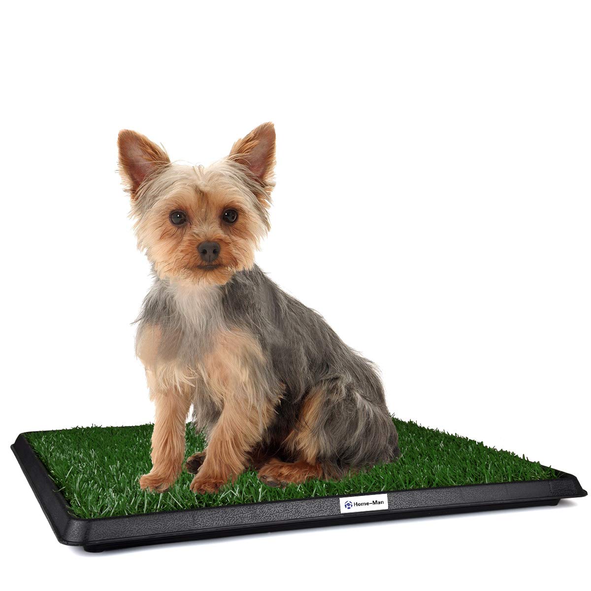 puppy potty trainer indoor grass