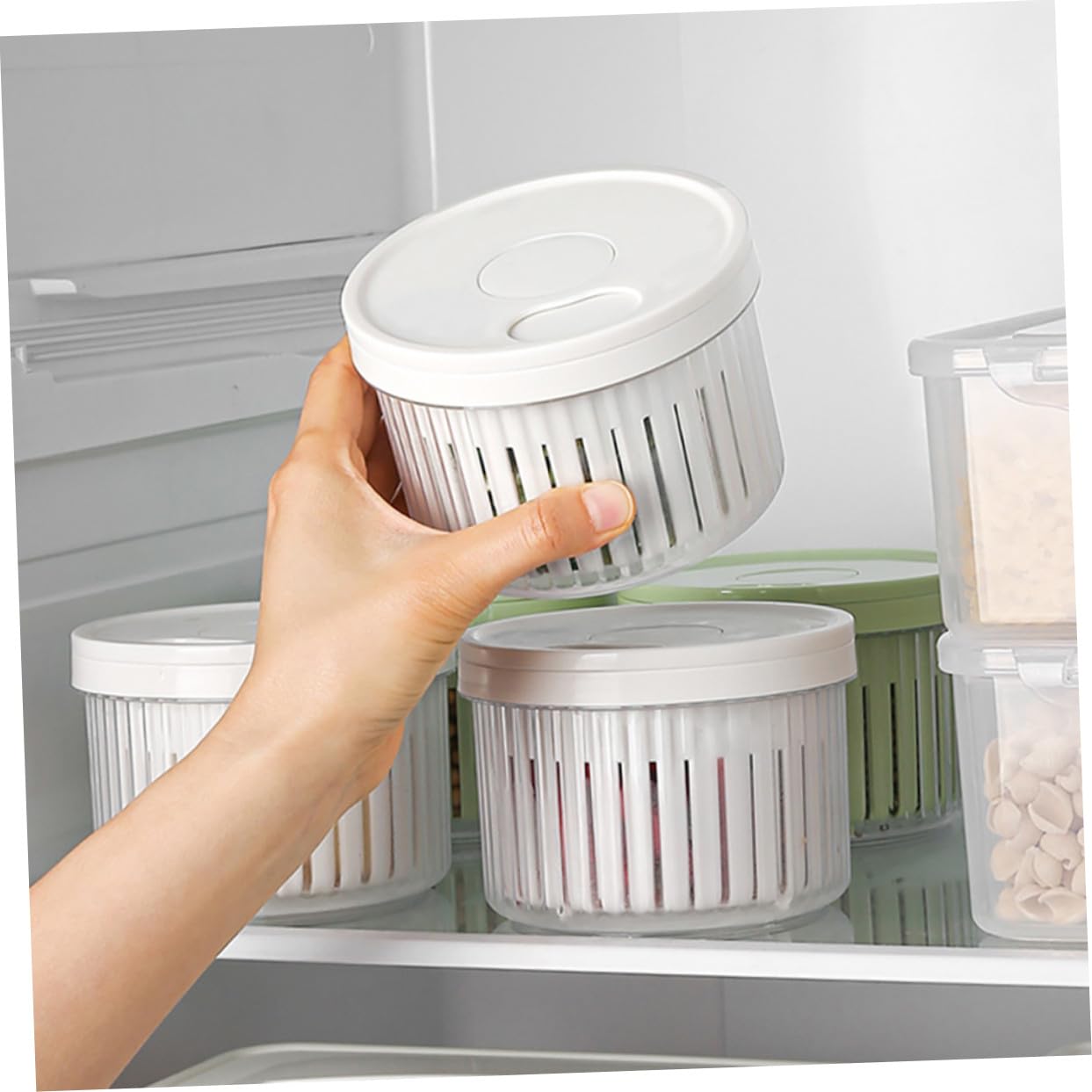 3 Stück Aufbewahrungsboxen für Knoblauch Ingwer und Schalotten Lebensmittelechter Pp Kunststoff Gefriergeeignet für Küchenorganisation und Frischhaltung