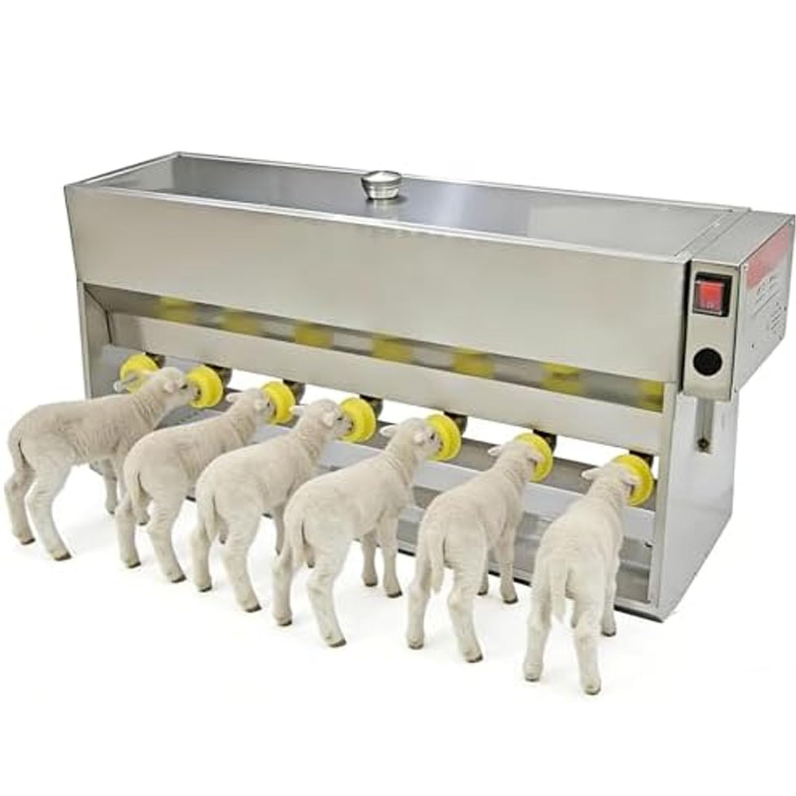Mangeoire automatique à lait pour nourrir sereinement vos agneaux à la ferme