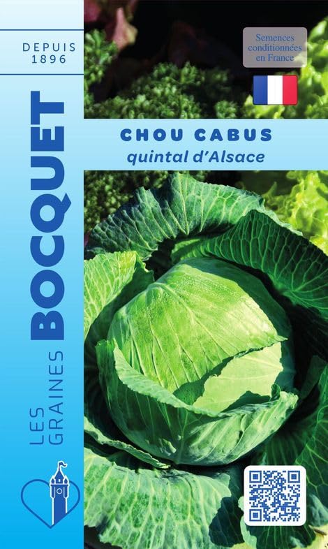 Sachet de graines de Chou cabus Quintal d'Alsace - 3 g - légume feuille - LES GRAINES BOCQUET