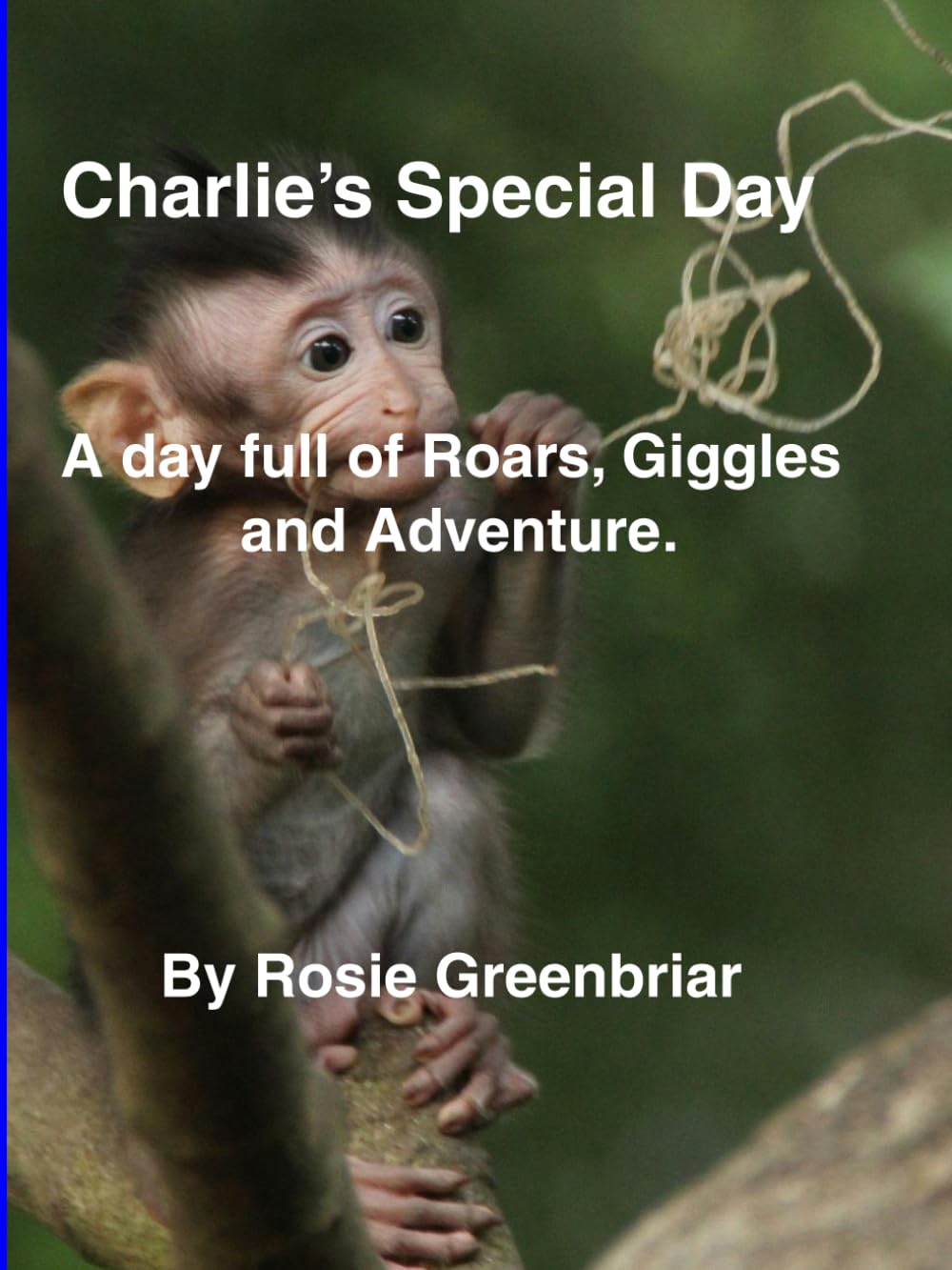 Charlie's Special Day.: A Day Full of Roars, Giggles, and Adventures!