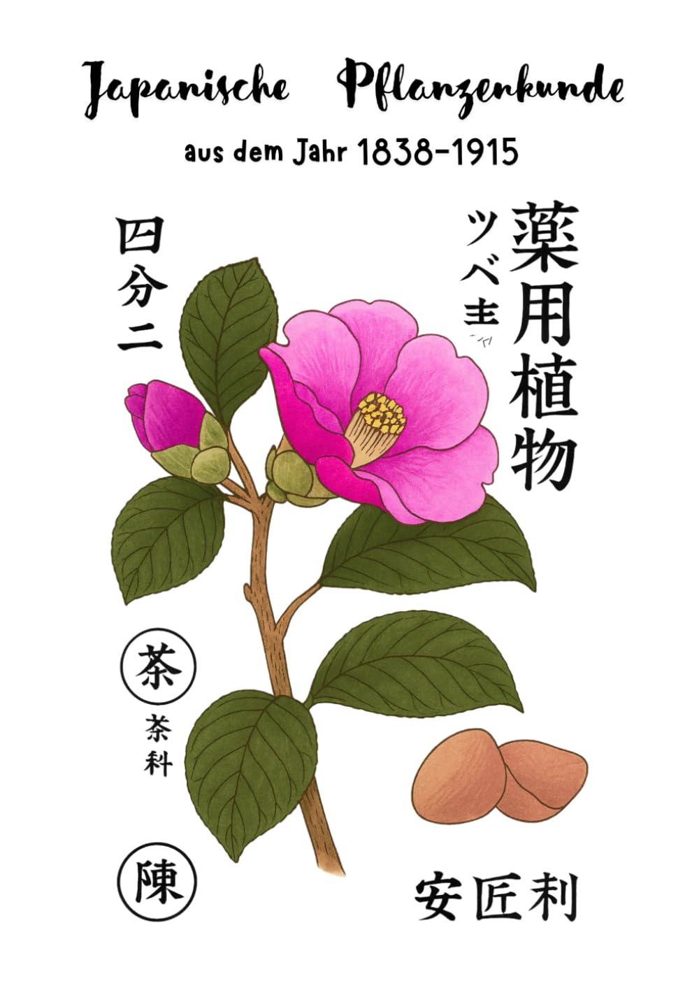 Japanische Pflanzenkunde aus dem Jahr 1838 - 1915: Japan, Pflanzenkunde, Asien, altes Wissen, Natur