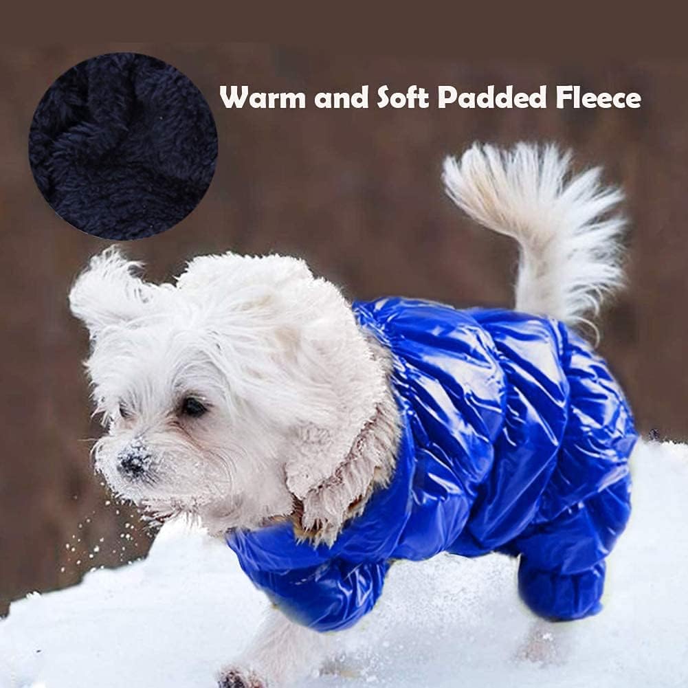 large dog snowsuit