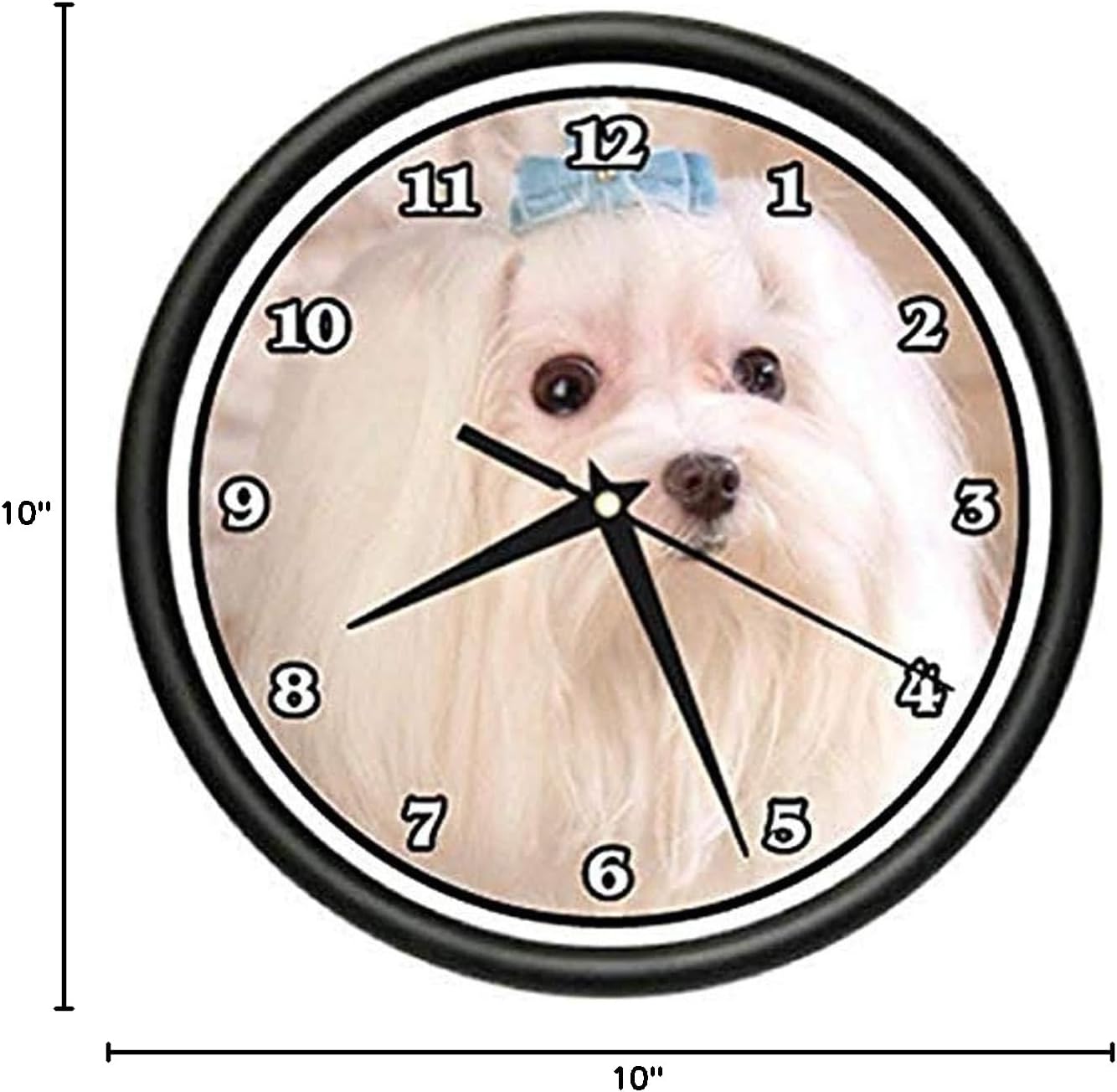 SignMission Maltese Wall Clock Dog Doggie pet Breed Gift