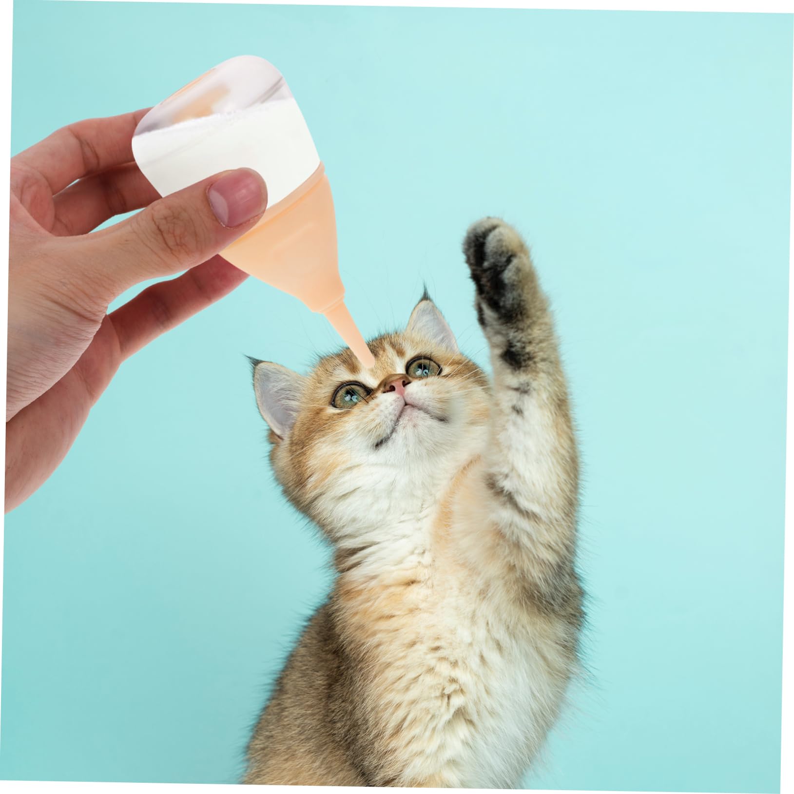 BESPORTBLE 5pezzi per Allattamento Latte per e Gattini e Facile per Alimentazione Domestici Resistente e