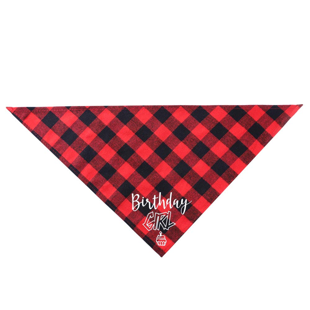 Hunde-Geburtstags-Bandana 'Birthday Girl' – 66 X 30,5 Cm, Baumwolle, Für Kleine/mittelgroße Hunde