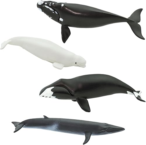 Miniatura 3 de Safari Ltd. Whale TOOB - Juego de figuras detalladas de plástico de 2.5 a 4 pulgadas, divertido juguete educativo de animales oceánicos para niños,