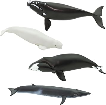 Safari Ltd. Whales Toob - 10 Mini Sea Life Figurines Toy Set for Kids
