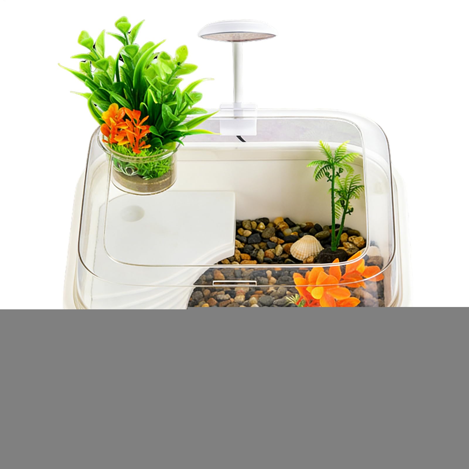 Aquarium avec lumière pour dragon barbu et terrarium gecko ou hamster
