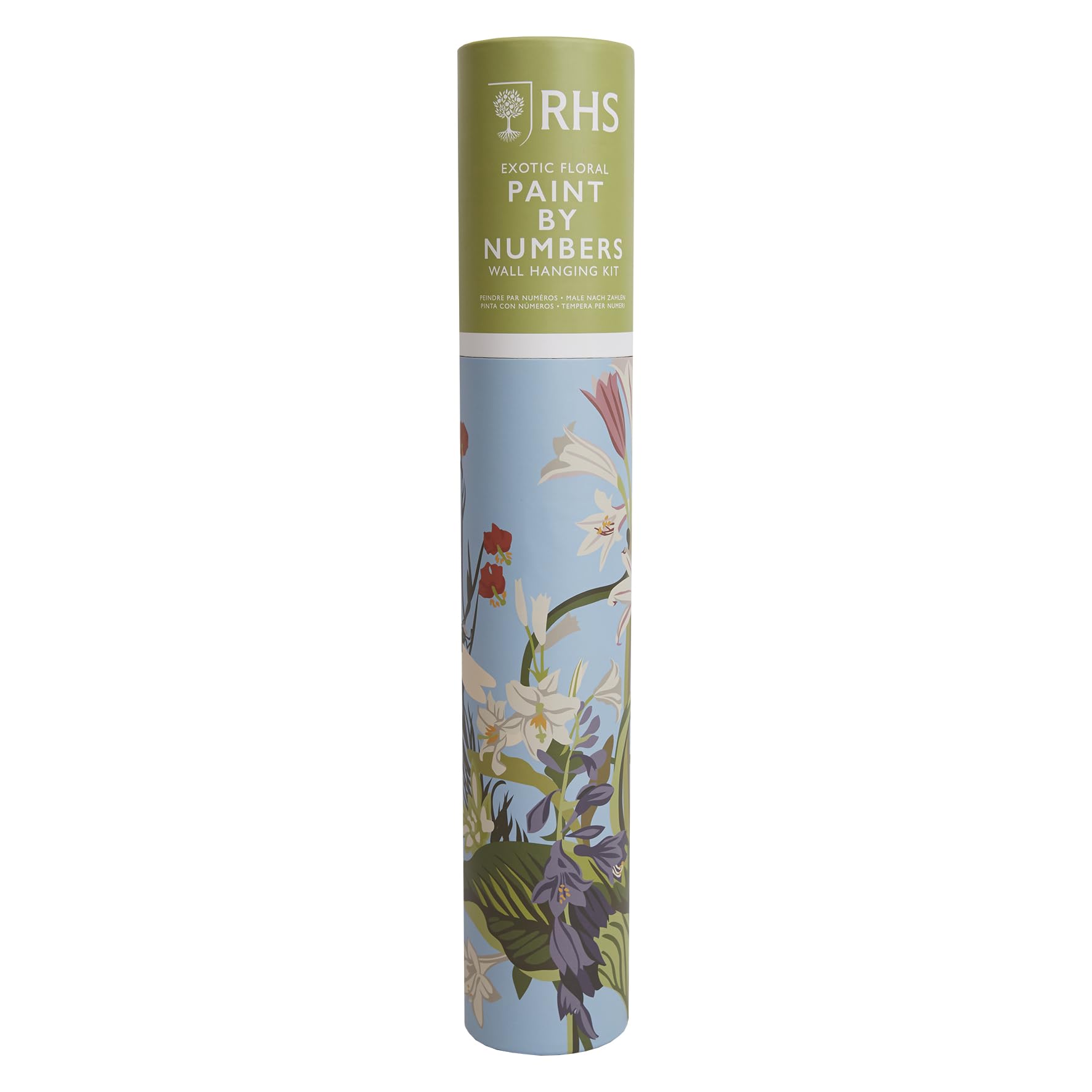Rhs Multicoloured The Royal Horticultural Society Paint By Numbers Hanging Kit With 24 Paints & 3 Brushes, Exotic Floral Design, 400 X 500 Mm, Learn To Paint For Adults