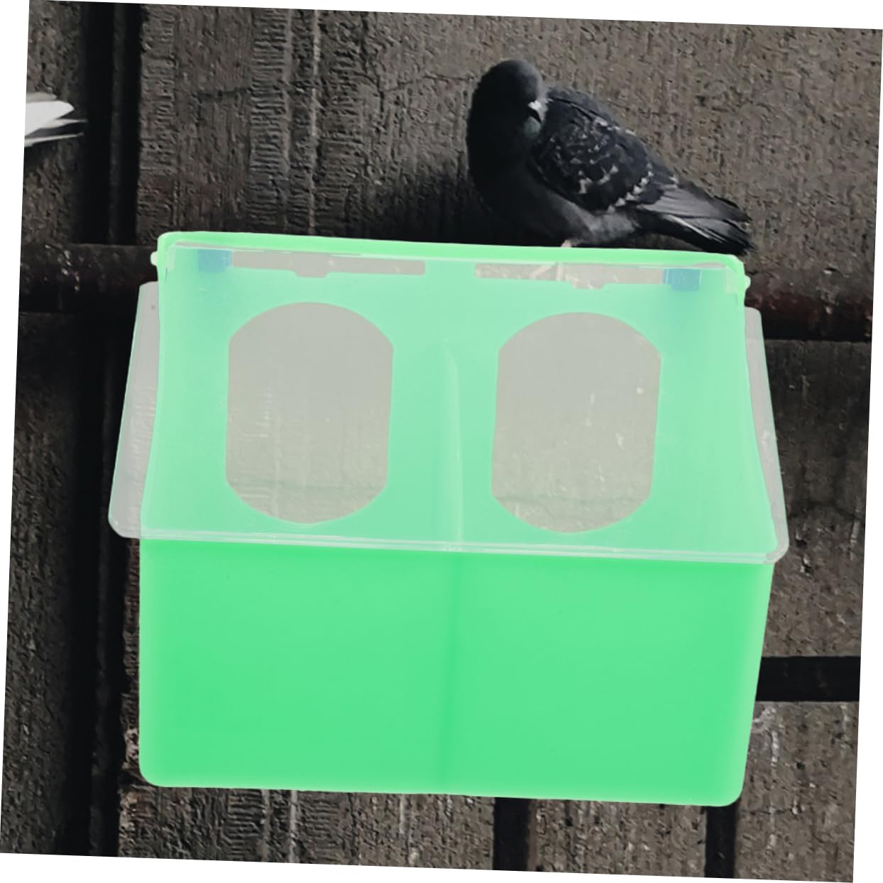 Mangeoire à Oiseaux à Double Ouverture, Lot de 3, Plastique Vert