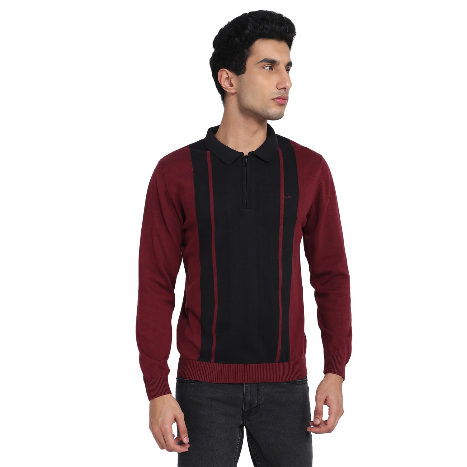 colorplus Men Regular Fit Jacquard Pattern Pure Cotton Full Sleeve V Neck Casual Sweater Black-picture-26