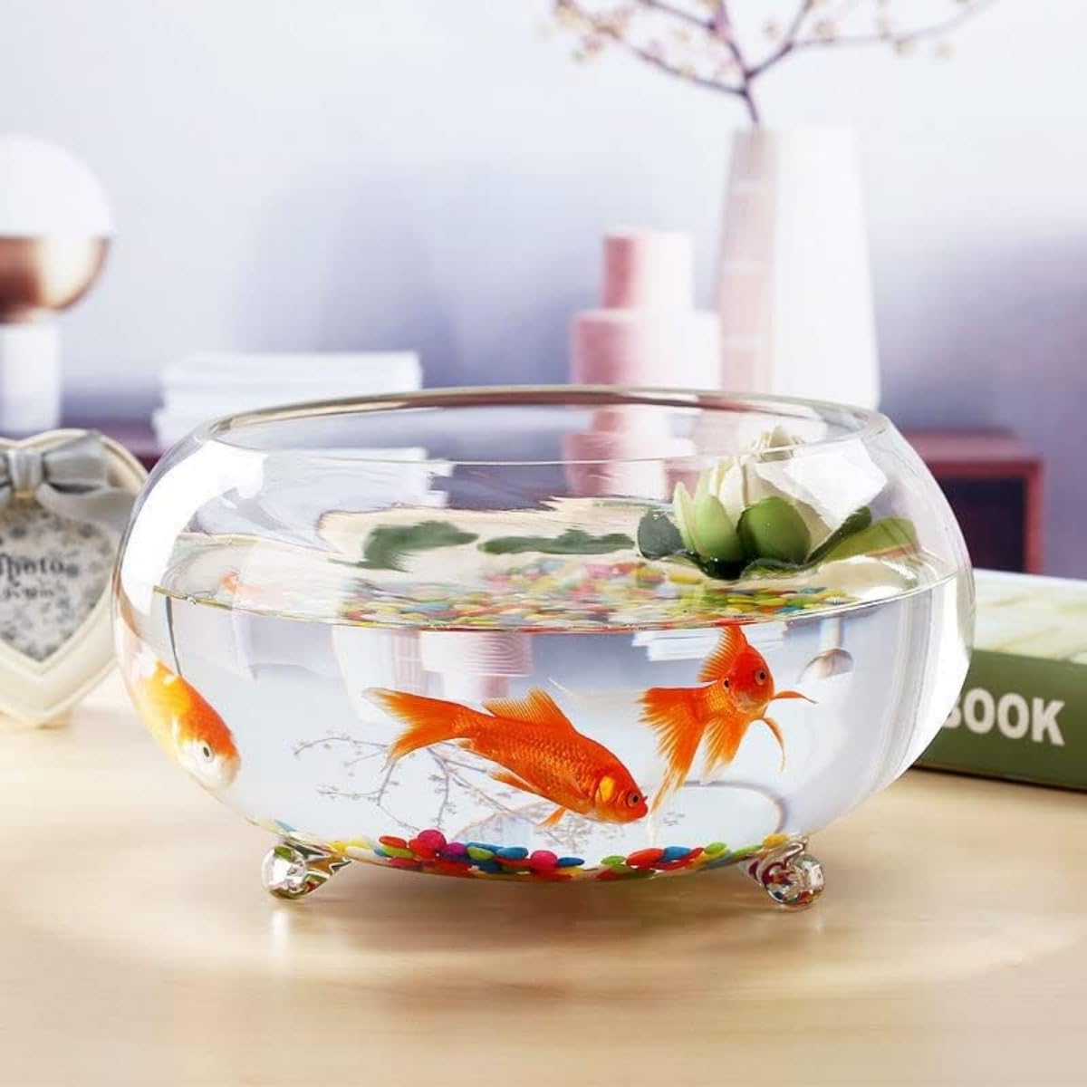 Amazon | Conutoo金魚鉢 水槽 ガラス 容器 テーブル ボウル 亀用